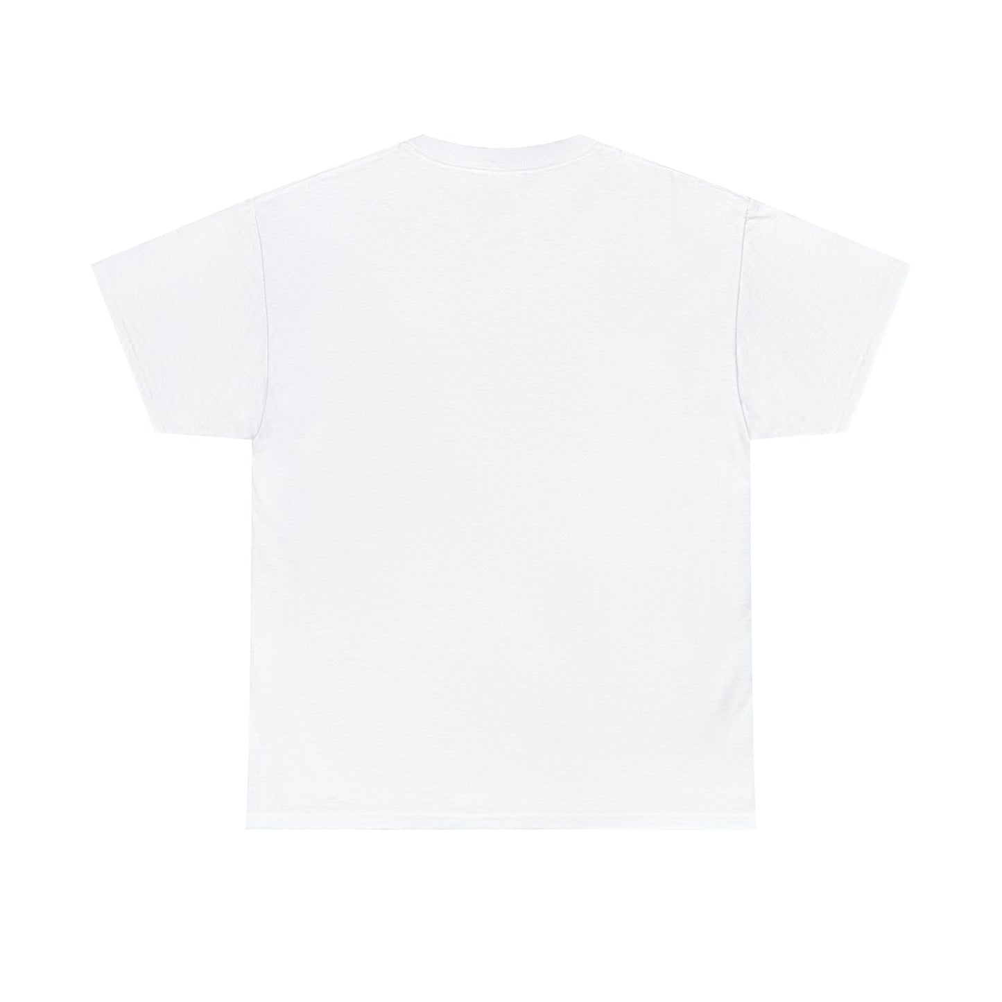 Snowboard T-Shirt – Things I do in my spare time.